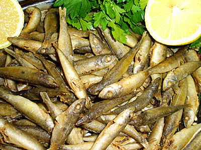 Ψάρια κατά την εγκυμοσύνη και μητρικό γάλα, βοηθούν στην ανάπτυξη των βρεφών