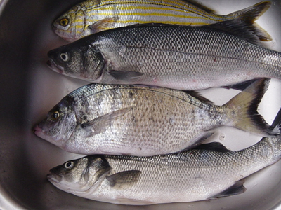 Φάτε ψάρια!