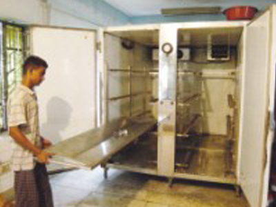 Εφτά χρόνια νεκρή… στην κατάψυξη