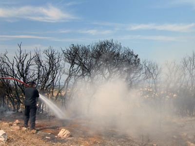 Πυροβόλησε πυροσβέστες που έσβηναν φωτιά