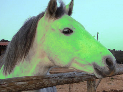 Και η μυλωνού τον άντρα της…
