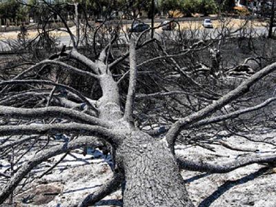Λαός και Κολωνάκι…