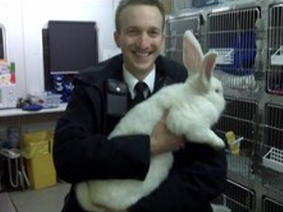 Λαγός σε μέγεθος… σκύλου