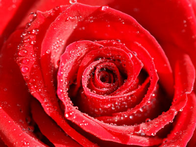 Ο παλαιοημερολογίτης Βαλεντίνο!