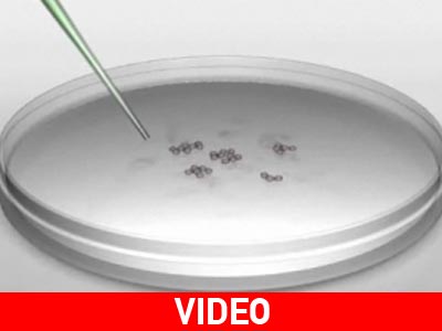 Επιστήμονες έφτιαξαν ανθρώπινο σπέρμα