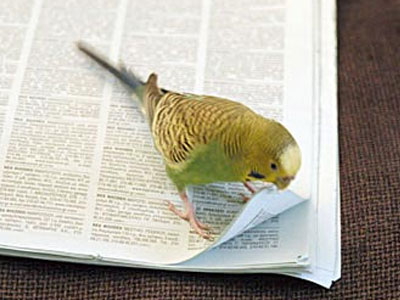 Τα πρωτοσέλιδα των κυριακάτικων εφημερίδων