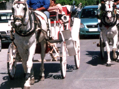Άμαξα παρέσυρε 14χρονο στην Ηλεία