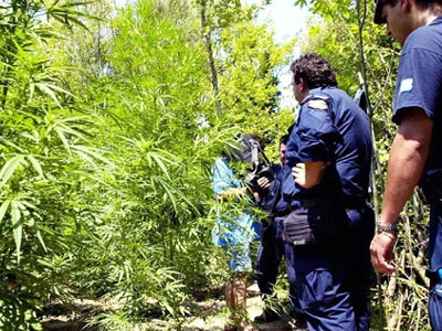 Μεγάλη ποσότητα ναρκωτικών κατασχέθηκε στο Ηράκλειο