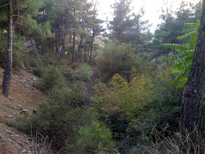 Εξόρμηση καθαρισμού στο Σέιχ Σου