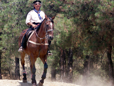 Απαγόρευση κυκλοφορίας στο Σέιχ-Σου