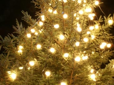 Έκαψαν το χριστουγεννιάτικο δέντρο του Ηρακλείου