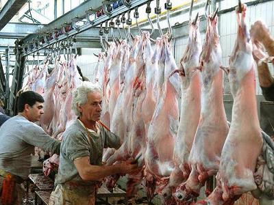 Κανόνες από ΕΕ για “ανώδυνη” σφαγή των ζώων