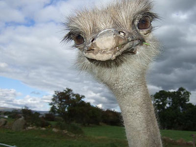 …τα εννιάμερα