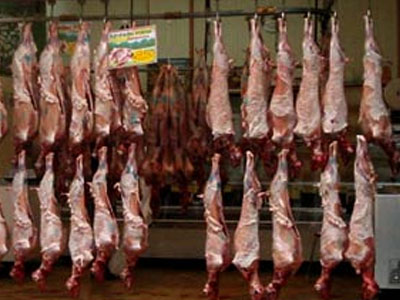 “Μπλόκο” σε υποψήφια… ελληνοποιημένα σφάγια