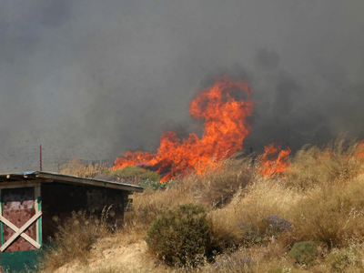 Πυρκαγιές σε Μαραθώνα, Θεσσαλονίκη και Εύβοια