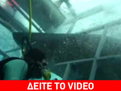 Βίντεο με επίθεση καρχαρία
