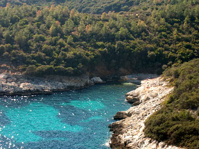 Εισαγγελική παρέμβαση για το δάσος στο Πόρτο Καρράς