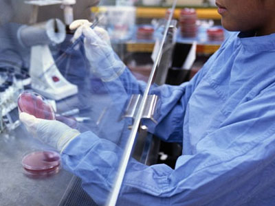 Σε πειραματικό στάδιο η νέα θεραπεία για τη σκλήρυνση κατά πλάκας