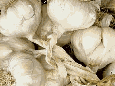 Έξυπνο, πονηρό …Μητσοτακικό