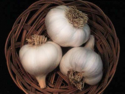 Ο ρόλος του σκόρδου στην υγεία μας