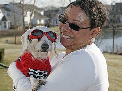 Το γηραιότερο σκυλί του κόσμου φοράει πουλόβερ και γυαλιά