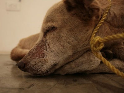 Ακόμα ένα “μεμονωμένο” περιστατικό