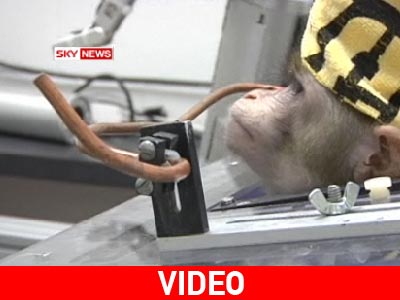 Πίθηκος ελέγχει ρομπότ… με το μυαλό