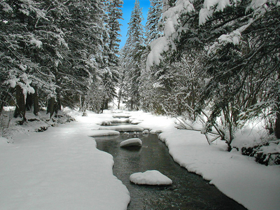 Γιορτινές από-ΔΡΑΣΕΙΣ!!!