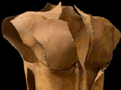 Αλεξάνδρα Αθανασιάδη: Γλυπτυκή 2000-2009