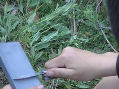 Κούρεψαν με σουγιά τη συμμαθήτριά τους