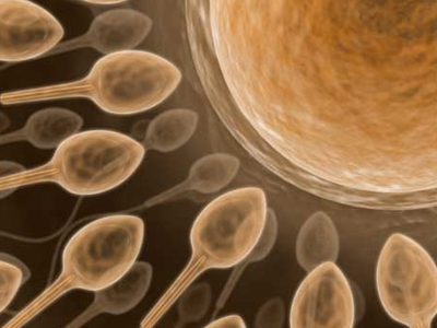 Θέλουν παιδί, αλλά όχι άντρα