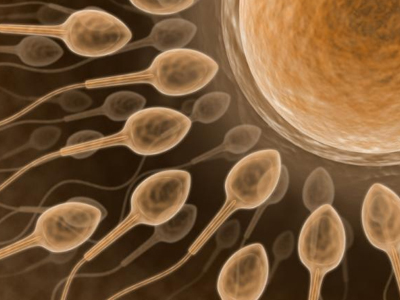 Καταψυγμένα κύτταρα σπέρματος από μωρό για μελλοντική χρήση