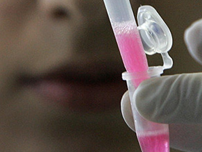 Το ”πράσινο φως” στην έρευνα με εμβρυϊκά βλαστοκύτταρα άναψε ο Ομπάμα