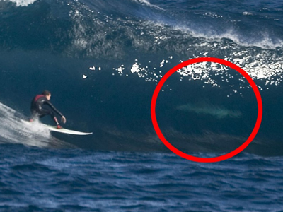 Έκανε σερφ δίπλα σε καρχαρία