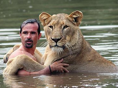 Κολυμπάει παρέα με τα λιοντάρια