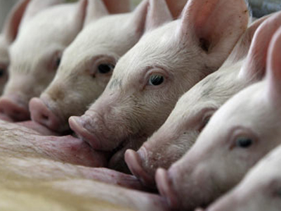 Τρίτος θάνατος στις ΗΠΑ από τη νέα γρίπη