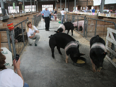 Συναγερμός για τη γρίπη των χοίρων που προσβάλλει ανθρώπους