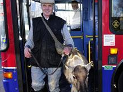 Βόλτα με τον τάρανδο στην παμπ