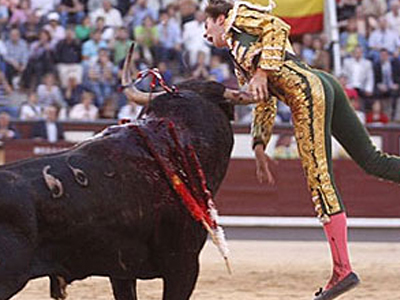 Ταυρομάχος τραυματίστηκε σοβαρά από κέρατο ταύρου