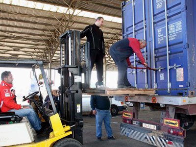 23 τόνοι ρυζιού με έντομα