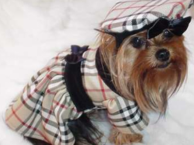 Τα καρό είναι παντοτινά!