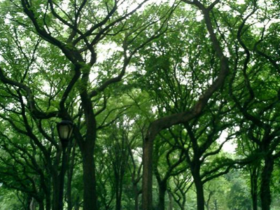 Θα πούμε το χαρτί … χαρτάκι