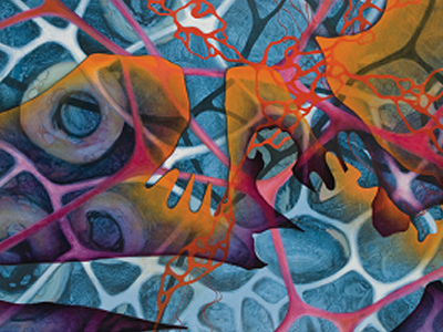 «Σωματόκοσμοι» της Anne Kern