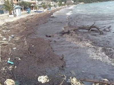 Θαλάσσια ρύπανση στη Βόρεια Κέρκυρα