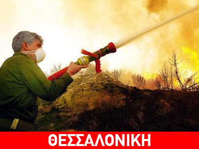 Υπό έλεγχο η πυρκαγιά στη Σιθωνία