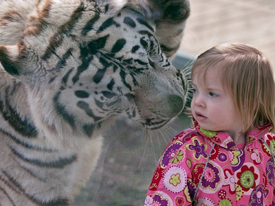 Πίσω μου σ’ έχω… τίγρη!