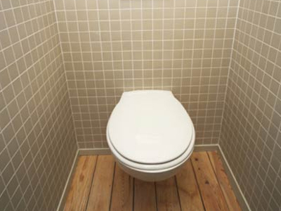 Πιστόλι κατέστρεψε τουαλέτα