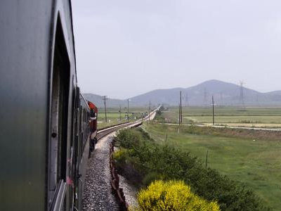 Τρένο συγκρούστηκε με αγελάδα