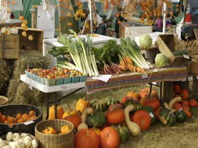 Πρόβλεψη για ακριβότερα τρόφιμα και μεγαλύτερη πείνα