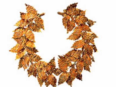 Βραβεία Θεάτρου και Μουσικής 2008 – Βραβείο “Κάρολος Κουν” 2008